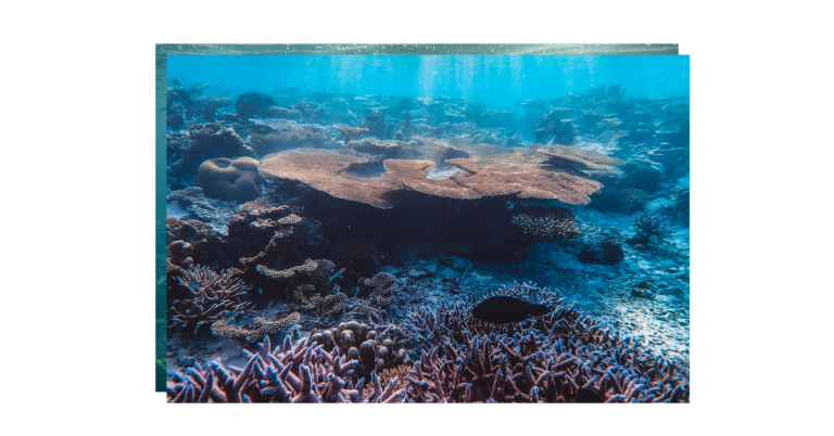 Emotional Shayari in Hindi That Expresses Deep Feelings, Pain, Love, and Inner Strength